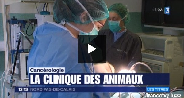 oncovet reportage